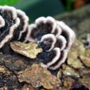 염색공간 이미지