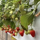 연곡농장 이미지