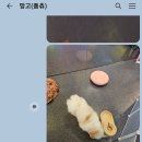 피터펫카페 일산점 이미지