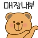 노드피자 이미지