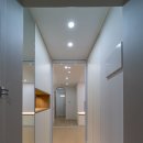 국화한신 이미지