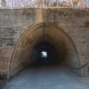 낙동강자전거교실 이미지