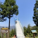 하동편백자연휴양림 이미지