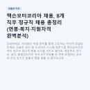 (주)맥슨 | 맥슨모터코리아 채용, 8개 직무 정규직 채용 총정리 (연봉·복지·지원자격 완벽분석)
