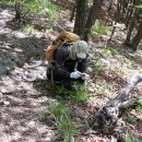 대부농장 이미지