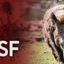 하나가축약품 이미지