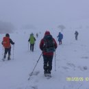 진고개목장 이미지