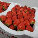 기찬농장 이미지