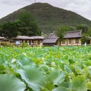 왕곡마을 이미지