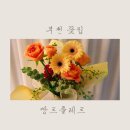 땅트플레르 이미지