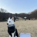 세인트벨 인터내셔날 이미지