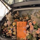 카프로 성수자동차 이미지