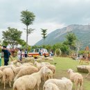 두건목장 이미지