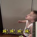 궁평식당 네이버블로그