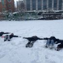 전주서일초등학교 이미지