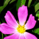 금지면 택촌마을 이미지