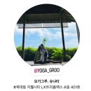 요가그루