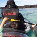 월정마니 이미지