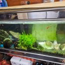 쌍둥이숯불갈비 이미지