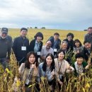 대두농장 이미지