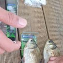 신휴 낚시터 이미지