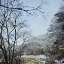 장태산 산그림펜션 이미지