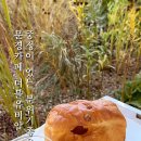 더블유비알 네이버블로그