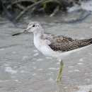 사촌1천 이미지