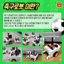 익산이루다태권도 네이버블로그