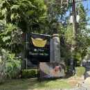 문화카인테리어 | 푸켓 파통 숙소 추천 : 알마르 리조트 가성비 솔직 후기 (위치, 가격정보)