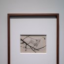 김천시립미술관 전시실+세미나실 | [사진전] 서울시립 사진미술관 및 개관 기념 전시 「광채 : 시작의 순간들」 후기