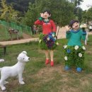 진도개메디컬센터 서울신문