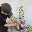 꽃꽂이 초.중급 이미지
