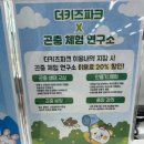 카페더행복 | 구미키즈카페 더키즈파크 후기 / 아이가 하루 종일 뛰어노는 대형 실내 놀이터