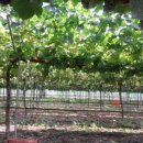 삼밭골글램핑 이미지