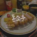 부산 돈카츠 맛집 &#34;톤쇼우&#34; 톤쇼우 본점 방문 후기 내돈내산