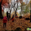 숲속자연유치원 이미지