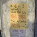 제주 봅디강