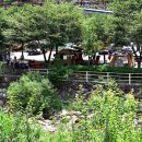 무릉도원 캠핑장 이미지