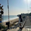 스카이무인텔 | 강원도 동해 겨울 묵호 여행 가볼만한곳1박2일 혼자여행도 가능한 여행 코스