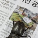 가을 전령사들 이미지