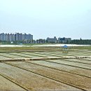 서호공원 이미지