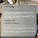 서산동 시화골목 이미지