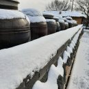 통일촌장단콩마을 이미지