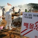 초동목장 이미지