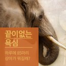 코끼리동물의료센터 네이버블로그