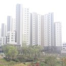 위례대표공인중개사사무소 이미지