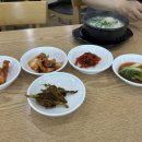 민백막국수