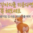 봉구PC | [스팀 게임 추천] 마이 리틀 퍼피(My Little Puppy): 반려견을 사랑한다면 꼭 해야 할 감동,힐링 게임