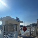 웅천남1로 | [여수 여행] 여수 요트투어 요트콜라 후기